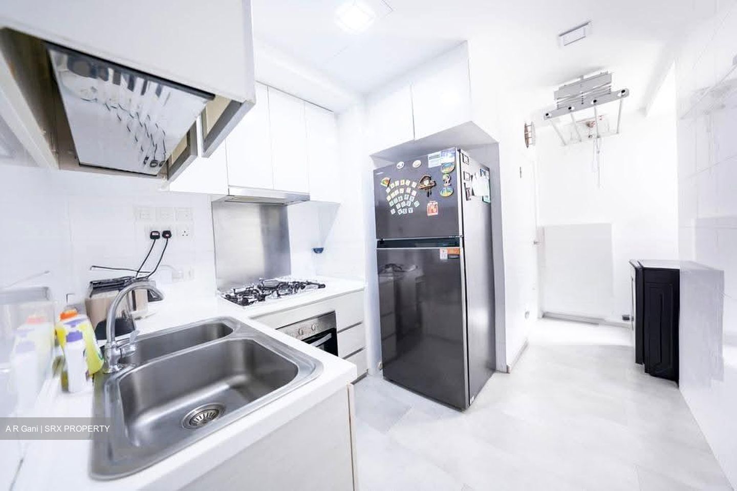 Oasis @ Elias (D18), Condominium #625573351